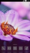 Flower CLauncher Coolpad Note 3 Theme