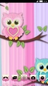 Cute Owl CLauncher Android Mobile Phone Theme