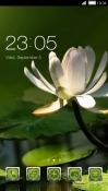 Flower CLauncher Android Mobile Phone Theme
