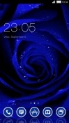 Blue Rose CLauncher Coolpad Note 3 Theme