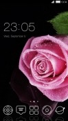 Pink Flower CLauncher Android Mobile Phone Theme