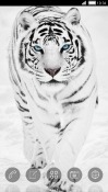 White Tiger CLauncher Coolpad Note 3 Theme