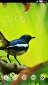 Finch CLauncher LG Intuition VS950 Theme