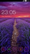 Nature CLauncher HTC DROID Incredible 4G LTE Theme