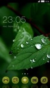 Green Leaf CLauncher Micromax A90s Theme