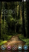Forest CLauncher Sony Xperia J Theme