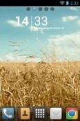 Golden Field Go Launcher Android Mobile Phone Theme