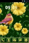 Spring Go Launcher Android Mobile Phone Theme