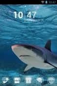 Shark Go Launcher Nokia 2660 Flip Theme