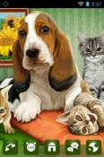 Dog Cats Release Go Launcher Nokia 8210 4G Theme