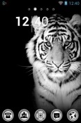 White Tiger Go Launcher Android Mobile Phone Theme