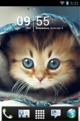 Kitten Go Launcher Xiaomi Mi CC9e Theme