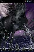 Black Horse Go Launcher Realme 11 Theme