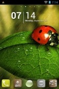 Ladybug Go Launcher Sony Xperia XZs Theme