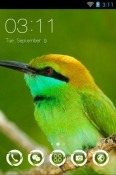 Green Bee Eater CLauncher Android Mobile Phone Theme