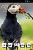 Atlantic Puffin CLauncher Motorola Moto Z4 Force Theme