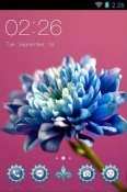 Beautiful Flower CLauncher Samsung Galaxy Axiom R830 Theme