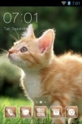 Cute Cat CLauncher Motorola One 5G UW Theme