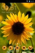 Helianthus Annuus CLauncher Samsung Galaxy Tab 2 10.1 P5110 Theme