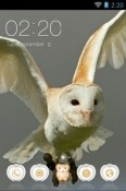 Barn Owl CLauncher Motorola One 5G UW Theme