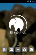 Elephant CLauncher LG Optimus Vu II Theme