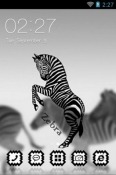 Zebra CLauncher ZTE Blade Qlux 4G Theme