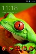 Red-Eyed Tree Frog CLauncher QMobile Q800 Q Tab Theme