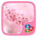 Flowers Go Launcher Android Mobile Phone Theme