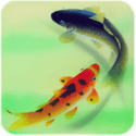 Fish Go Launcher OnePlus Nord 4 Theme