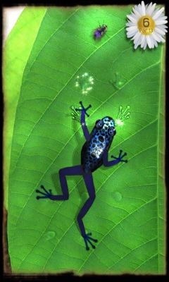Ancient Frog Android Game Image 2