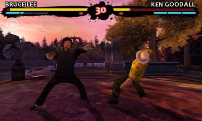 Bruce Lee Dragon Warrior Android Game Image 2