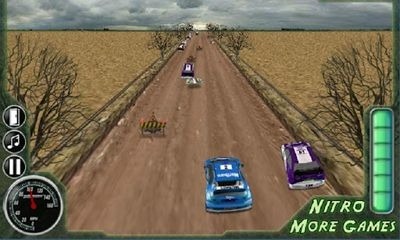3D Rally Fever Android Game Image 1