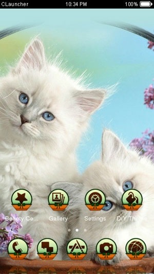 Cat CLauncher Android Theme Image 2