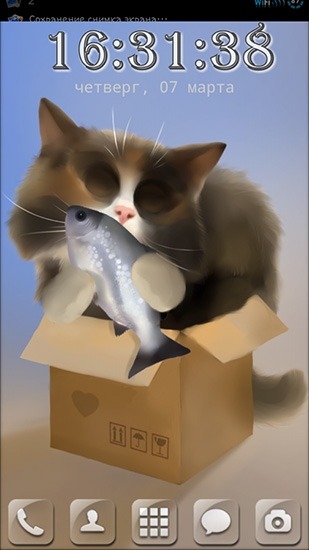Cat In The Box Android Wallpaper Image 1