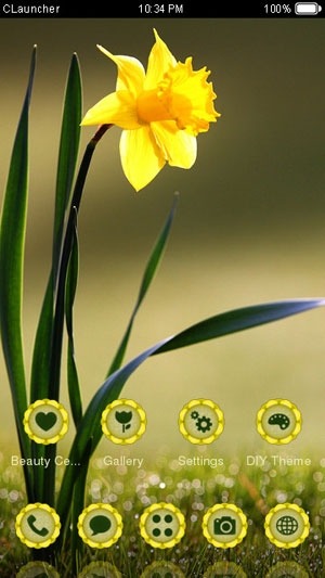 Beautiful Flower CLauncher Android Theme Image 1