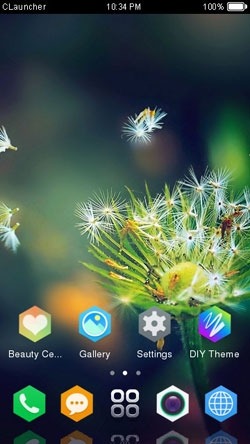 Dandelion CLauncher Android Theme Image 1