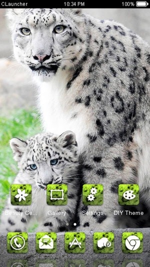 Snow Leopard CLauncher Android Theme Image 1