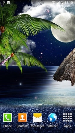 Tropical Night Android Wallpaper Image 2