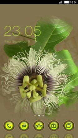 Curly Flower CLauncher Android Theme Image 1