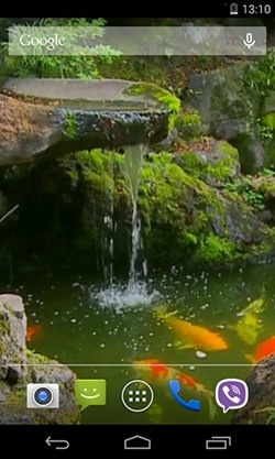 Pond With Koi Android Wallpaper Image 1