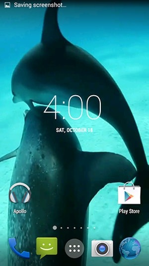 Dolphins HD Android Wallpaper Image 1