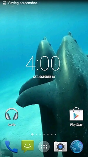 Dolphins HD Android Wallpaper Image 2