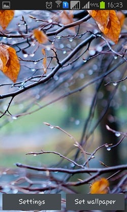 Autumn Raindrops Android Wallpaper Image 1