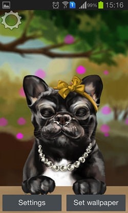 French Bulldog Android Wallpaper Image 2