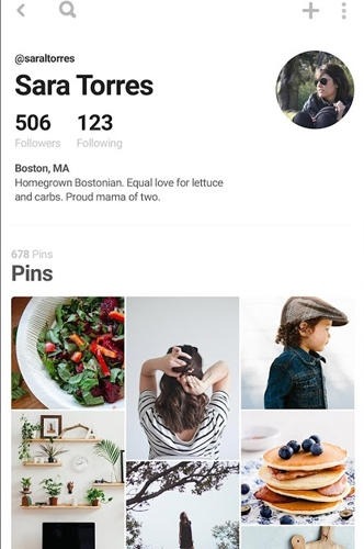 Pinterest Android Application Image 2