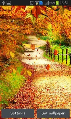 Autumn Streets Android Wallpaper Image 1