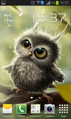 Owl Chick Android Wallpaper Image 1