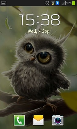 Owl Chick Android Wallpaper Image 2