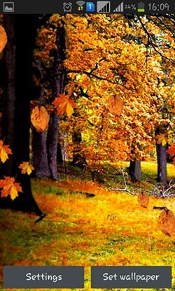 Autumn Rain Android Wallpaper Image 1