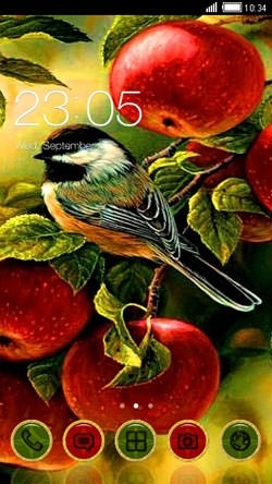 Bird CLauncher Android Theme Image 1